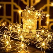 Fairy lights
